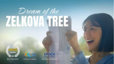 NTD 웹드라마 ‘느티나무의 꿈’, 세계 최대 웹시리즈 영화제서 최우수각본상