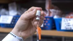 이스라엘 연구진 “코로나 변이 바이러스, 백신 맞으면 더 잘 감염”