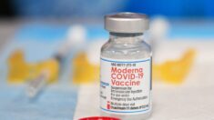美 FDA, 모더나 코로나19 백신 정식 승인