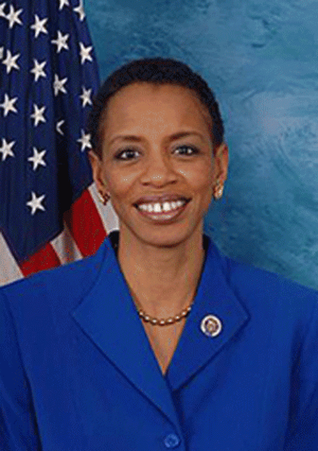 도나 F.에드워즈(Donna F. Edwards ) 미 연방하원 의원.(관방자료)